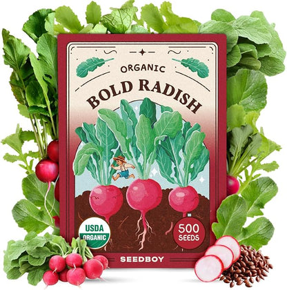 Seedboy Organic Radish Seeds for Planting Indoor and Outdoor, Non-GMO and USDA Certified Vegetable Seed Packet for Hydroponic Garden Indoor or Planting Outdoors (Cherry Belle Radish)