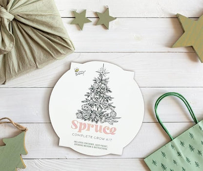 Buzzy Seeds Spruce Christmas Tree Grow Kit - Metal Windowsill Planter - Complete Indoor/Outdoor Gardening Kit with Seeds, Coconut Husk Growing Medium & Genuine Pots - 100% Grow Guarantee