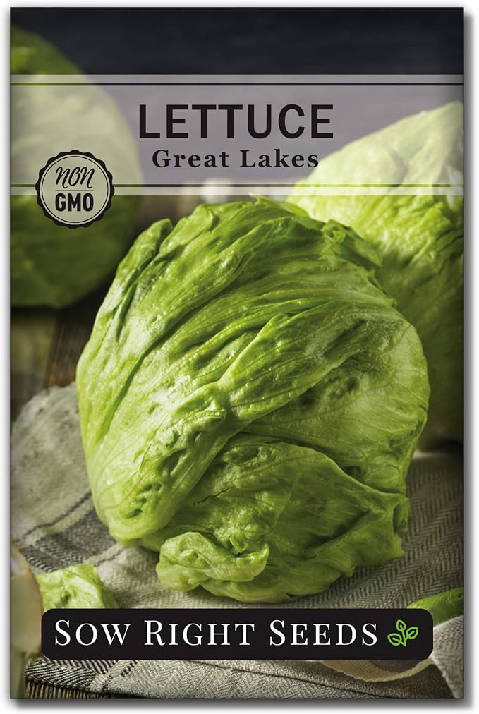 Sow Right Seeds - Great Lakes Iceberg Lettuce Seeds for Planting - Non-GMO Heirloom Packet with Instructions to Plant a Home Vegetable Garden - Outdoors or Hydroponics Indoors - Crisp Variety (1)