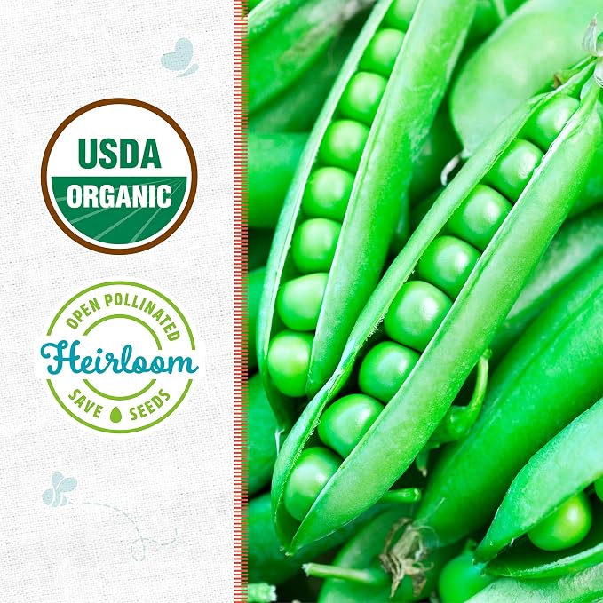 Back to The Roots 100% Organic Seed Packet - Pea 'Green Arrow' 8.4g