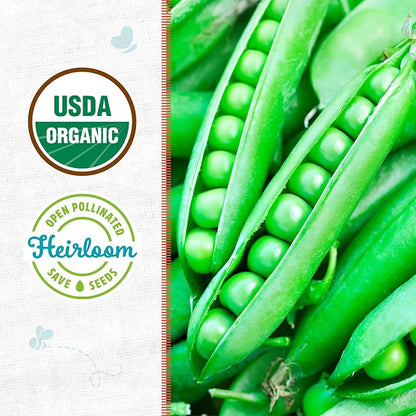 Back to The Roots 100% Organic Seed Packet - Pea 'Green Arrow' 8.4g