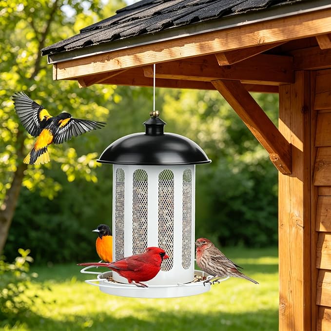Bird Feeder, Large Capacity Bird Feeders for Outdoor Hanging, Heavy Duty Metal Wild Birdfeeder for Outside Garden Yard Decor, Retro Lantern Shape (Black & White)