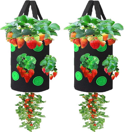 Miewslan 2 Pack Gardens Upside Down Strawberry Planter, Hanging Tomato Strawberry Grow Planter Garden Vegetable Planting Bags with Holes(Black)