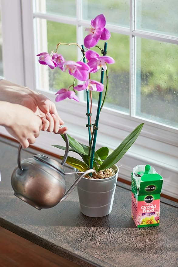 Miracle-Gro Water Soluble Orchid Food, 8 oz., 2-Pack