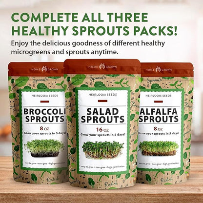 HOME GROWN Non GMO Alfalfa Sprout Seeds 16oz Bulk Pack with Thousands of Seeds Alfalfa for Sprouting & Microgreens Indoor Outdoor Growing Resealable Bag High Germination
