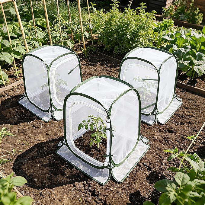 Augshy 3 Pack Pop Up Plant Covers Plant Protectors Tent Mesh Plant Protectors from Animals and Birds Garden Net Cage with Stakes for Protect Outdoor Plants Vegetables Flowers Shrubs 13"x13"x20"