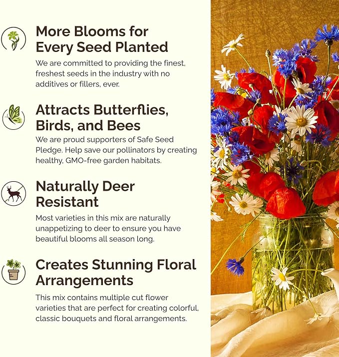 Eden Brothers Vermont Wildflower Mixed Seeds for Planting, 1/4 lb, 120,000+ Seeds with Cosmos, Cornflower | Attracts Pollinators, Plant in Spring or Fall, Zones