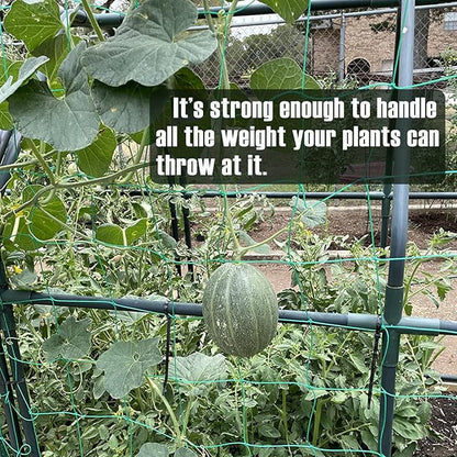 Trellis Netting, Heavy-Duty Garden Grow Netting for Climbing Plants, Outdoor Indoor Net for Cucumber, Tomatoes, Beans, Clematis, Fruits & Vegetables, Climbing Vining Plants (32.8' x 6.6'Ft)