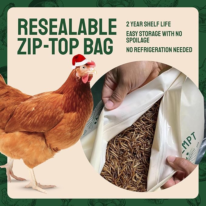 Hatortempt Dried Mealworms - 5 Lb, Non-GMO & Organic - High-Protein Mealworms for Wild Birds & Ducks, Chicken Treats & Bird Food
