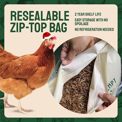 Hatortempt Dried Mealworms - 5 Lb, Non-GMO & Organic - High-Protein Mealworms for Wild Birds & Ducks, Chicken Treats & Bird Food