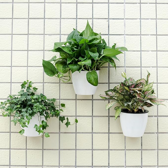 6 Pack White Hanging Planter Pots Self Watering Vertical Garden Wall Mount Window Hang Round Plastic Container Indoor Outdoor for Plants Flowers Succulent Kitchen Living Herbs Holder Decor(Large)