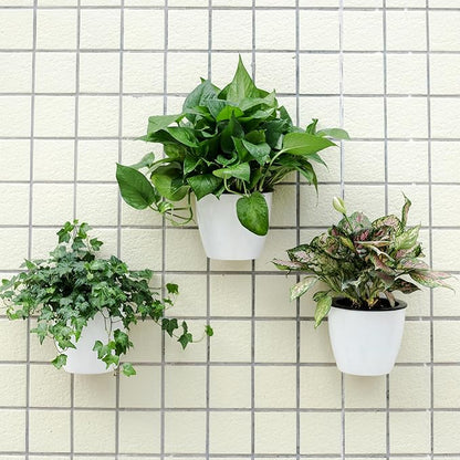 6 Pack White Hanging Planter Pots Self Watering Vertical Garden Wall Mount Window Hang Round Plastic Container Indoor Outdoor for Plants Flowers Succulent Kitchen Living Herbs Holder Decor(Large)