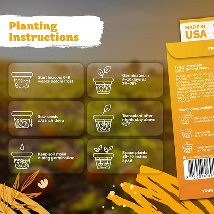 KVITER 650 Aunt Molly Ground Cherry Seeds for Planting (Physalis pruinosa) – Non GMO & Heirloom Pineapple Ground Husk Cherry Tomatoes, Fruit Seeds – Tropical Flavor Berries