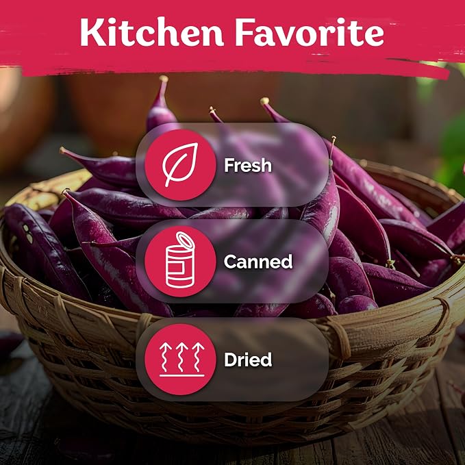 KVITER 75 Top Pick Pinkeye Cow Pea Seeds for Planting (Vigna Unguiculata) – Field Pea, Bush Purple Hull Peas, Heirloom Peas & Beans – Vegetable Seeds for Outdoor Garden, Beds, Containers