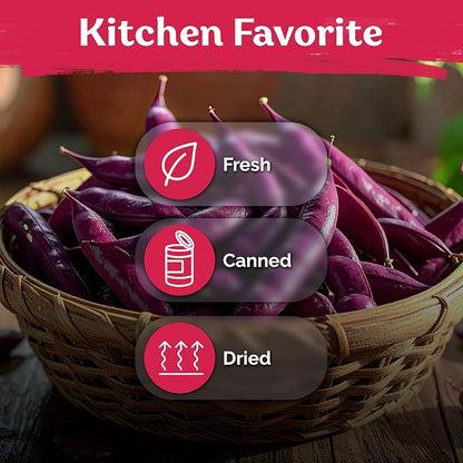 KVITER 75 Top Pick Pinkeye Cow Pea Seeds for Planting (Vigna Unguiculata) – Field Pea, Bush Purple Hull Peas, Heirloom Peas & Beans – Vegetable Seeds for Outdoor Garden, Beds, Containers
