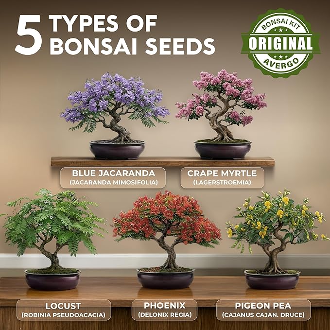 Bonsai Tree Kit for Beginners – 5X Unique Japanese Bonzai Trees | Complete Indoor Bonsai Starter Kit for Growing Bonsai Plants with Tools & Planters – DIY Gardening Gifts for Women & Men