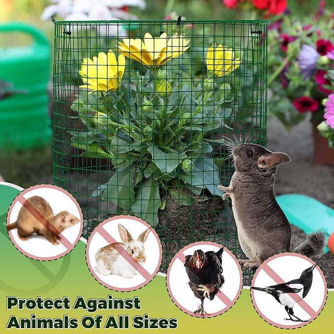 Hiboom 4 Pack Garden Plant Protectors from Animals with Stakes, Metal Mesh and Detachable Covers Wire Plant Cage for Keeping Bunny Animals Out, Chicken Wire Cover Garden Protect (12 * 13 in)