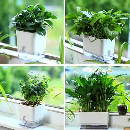Planterhoma Self Watering Plant Pots for Indoor Plants 10 inch, 3 Packs Rectangle Self-Watering Planters with Drainage Hole, White African Violet Pots for Devil's Ivy, Spider Plant, Orchid, Herb
