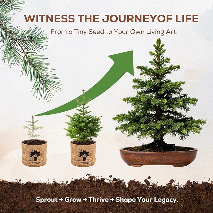 Christmas Gifts & Crafts for Adults - Bonsai Tree Starter Kit with 5 Unique Japanese Trees | Complete DIY Gardening Kit for Birthday | Gifts for Women, Men, Mom, Dad, Plant Lovers