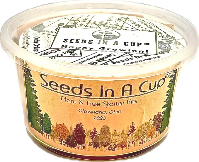Ash Tree | Seeds In A Cup: Ash Tree Starter Kit | Easy to use | Educational | Memorial Gift | Plant It for The Planet | Grow Your Own Tree | Plastic Planter