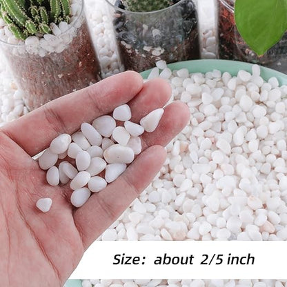 18lb 1/4" Small White Rocks for Plants,Potting,Succulents Aquarium Fish Tank Garden Vases Decorative Pebbles Gravel Rocks Stones