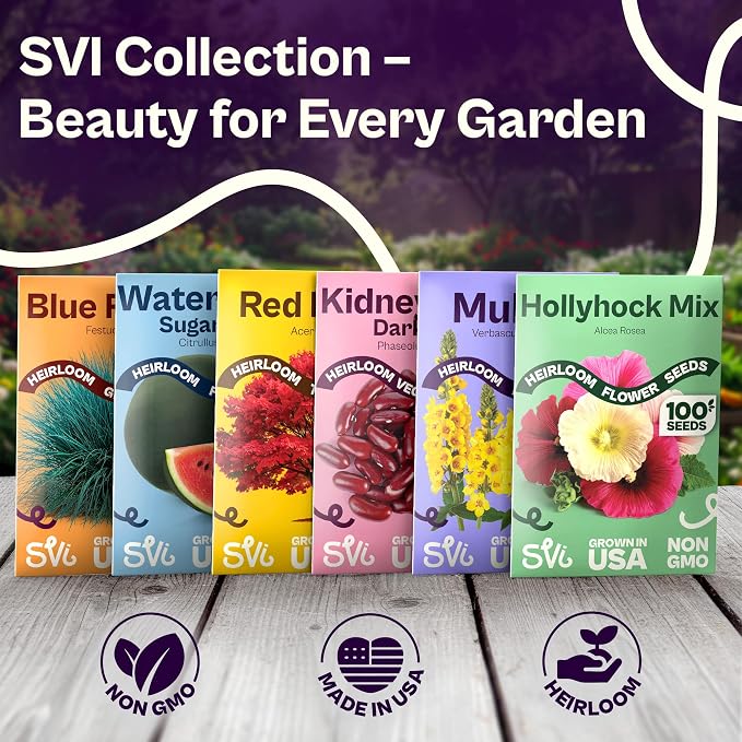 SVI 2500 Purslane Seeds (Portulaca oleracea) – Common Purslane, Verdolaga Seed Packets Bulk, Pigweed, Succulent Grow – Heat & Drought Tolerant Heirloom Herb Seeds, Indoor Herb Garden & Outdoor Garden