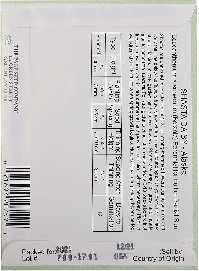 Black Duck Brand Set of 25 Shasta Daisy Flower Seed Packets! Flower Seeds in Bulk - Great for Creating The Garden of Your Dreams! (25, Shasta Daisy - Alaska)