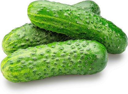 50 Boston Pickling Cucumber Seeds for Planting - Heirloom, Non-GMO, USA Grown - Crisp 3-5" Fruits - RDR Seeds