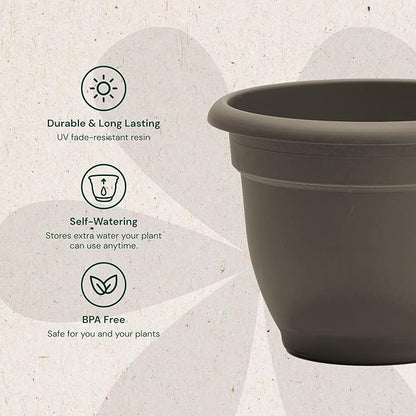 Bloem Ariana 10" Peppercorn Round Self-Watering Resin Planter Pot - Rolled Rim Indoor and Outdoor Gardening Planter