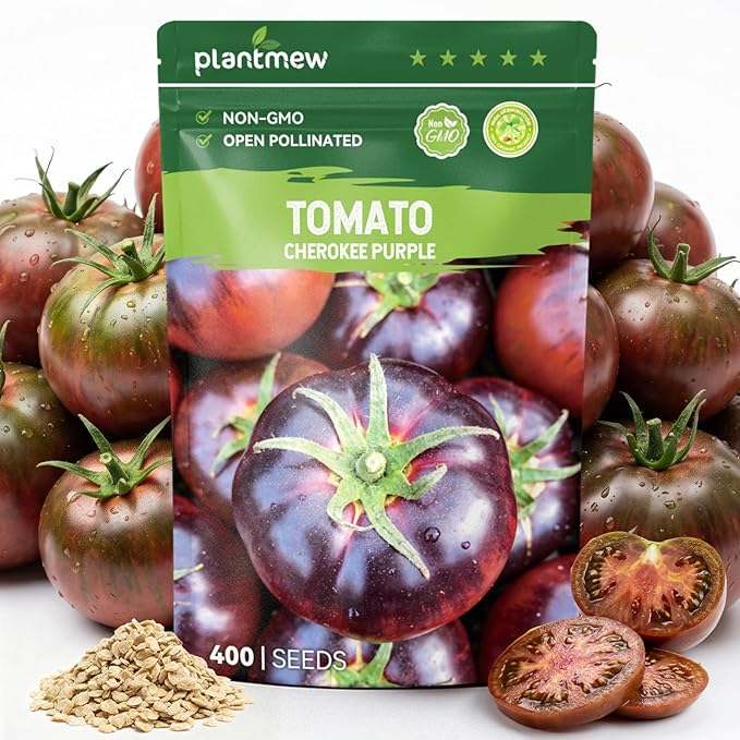 400 Heirloom Cherokee Purple Tomato Seeds for Planting – Unique Dark Purple Beefsteak, Rich Flavor, High Germination, Ideal for Home Garden & Container