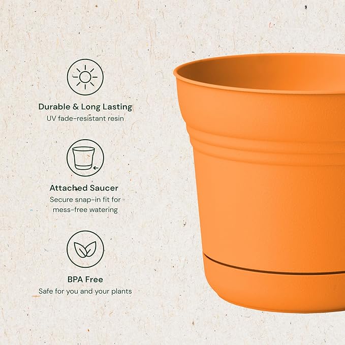 Bloem Saturn 7" Mango Round Resin Planter Pot with Snap-in Saucer for Indoor and Outdoor Gardening