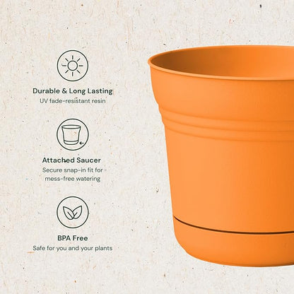Bloem Saturn 10" Mango Round Resin Planter Pot with Snap-in Saucer for Indoor and Outdoor Gardening