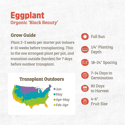 Back to The Roots 100% Organic Heirloom Seeds - Eggplant Value Pack (280mg Total)