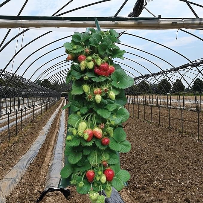 2024 Hanging Strawberry and Tomato Planter Bags - Upside-Down Patio Garden Grow Bags With Handle for Outdoor Flower Planting (5)