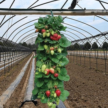 2024 Hanging Strawberry Planter - Upside-Down Patio Garden Tomato Grow Bags With Handle for Outdoor (3)