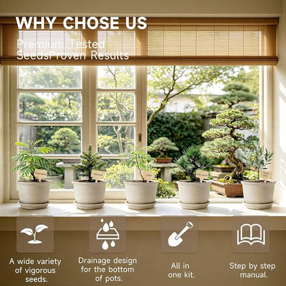 Bonsai Tree Starter Kit – 8 Varieties Indoor Bonsai Trees Plant Seeds with Drainage Design Pots, Gardening Gifts for Women, High-Value Plant Gifts