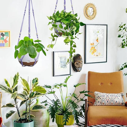 2 Pack Hanging Planters Set,10 Inch Indoor Outdoor Hanging Plant Pot Basket,Hanging Flower Pot with Drainage Hole with 3 Hooks for Garden Home(Purple Hanger White Planters)