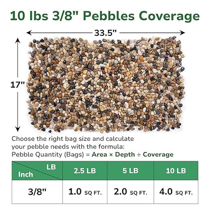 GreatBuddy 10-lb Pebbles for Indoor Plants, 3/8" Pea Gravel for Vases, Small Rocks for Succulents, Fish Tanks, Aquariums, Terrarium, Drainage Pebbles for Potted Plants, River Rocks for Landscaping