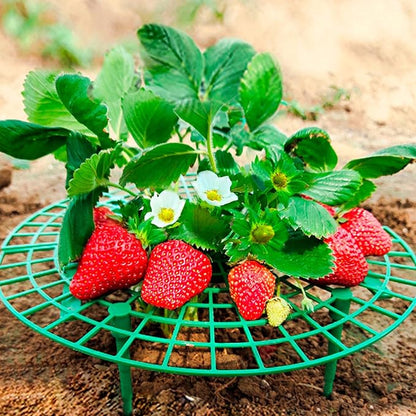 SooGree 5 Pack Strawberry Supports, Strawberry Holder Cradles for Garden, Fruit Plant Cage Plastic Tray Keep Strawberries Off Rot and Dirt
