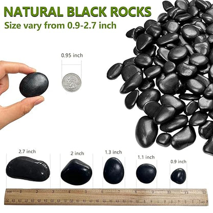 15LB Black River Rocks for Landscaping 1-2 Inch Natural Polished Stones Decorative Pebbles for Plants Vases Aquarium Large Outdoor Garden Rocks