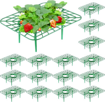 Havawish 20 Pack Strawberry Plant Support Holder for Chocolate Covered Strawberries Square Outdoor Plant Stand Holder, Growing Racks Growing Frame for Keeping Garden Clean