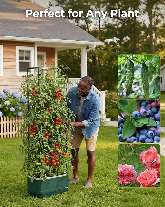 2 Pack Raised Garden Bed Planter Box with Trellis, Self Watering Tomato Planters for Climbing Plants, Tomato Cage Trellis for Vegetables & Vine Flowers Indoor Outdoor Patio