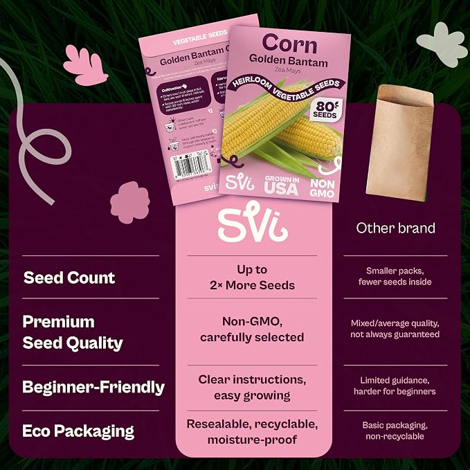 SVI 80 Golden Bantam Sweet Corn Seeds (Zea mays) – Yellow Sweet Corn Seed Packets Non GMO – Fast Growing Heirloom Vegetable Seeds, Outdoor Vegetable Garden & Home Garden