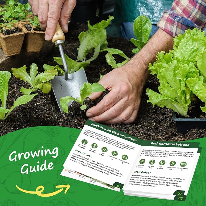 Heirloom Lettuce Seeds - 10 Varieties Lettuce Seeds for Planting - Includes Spinach, Kale, Arugula, Romaine, Iceberg, Buttercrunch & More, Home Garden & Hydroponic Seeds