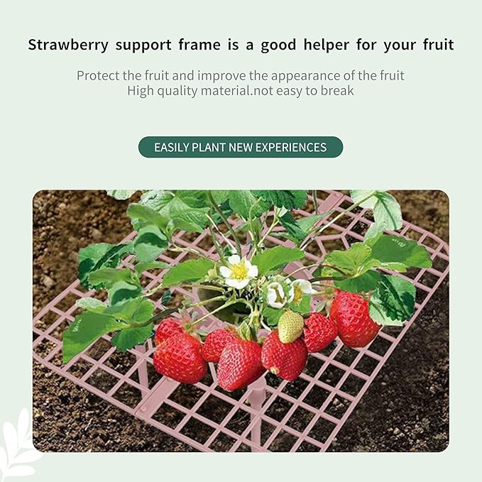 SooGree 5 Pack Strawberry Supports Garden Fruit Plant Cage Strawberry Holder Cradles Plastic Tray Keep Strawberries Off Rot and Dirt