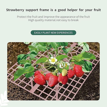 SooGree 5 Pack Strawberry Supports Garden Fruit Plant Cage Strawberry Holder Cradles Plastic Tray Keep Strawberries Off Rot and Dirt