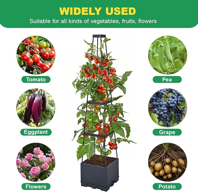 2 Pack Raised Garden Bed, Tomato Cages for Garden, Garden Bed, Tomato Cage, Planter Box with Trellis, 57" Self-Watering Tomato Planter for Climbing Plants Vegetables Flowers Outdoor Indoor