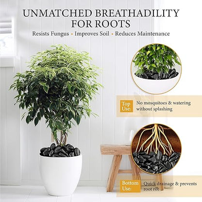 18lb Black River Rocks for Plants, 1-3 Inch Pebbles for Indoor Plants, Polished Garden Rocks Outdoor Landscaping, Decorative Stones for Vases, Succulents, Aquarium, Walkways