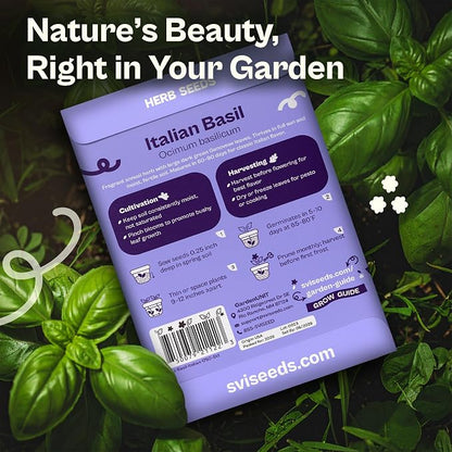 SVI 1750 Italian Basil Seeds (Ocimum basilicum) – Large Leaf Sweet Genovese Basil Seed Packets –Non GMO Italian Herbs, Heirloom Herb Seeds for Outdoor & Indoor Herb Garden, Containers