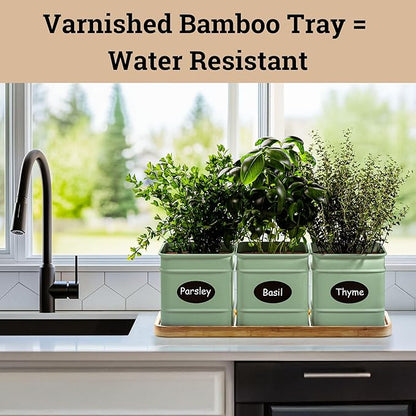 Herb Planter Indoor - 3 Iron Herb Pots with Drainage Holes, Varnished Bamboo Tray, Customizable Labels & Marker Pen - Indoor Herb Garden Planter - 3 Pots for Herbs - Inside Spice Garden - Basil Pot